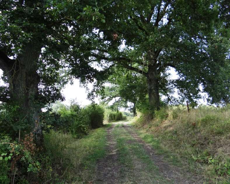 Daniel Bailly - Moselle Attractivité Circuit Croix et oratoires