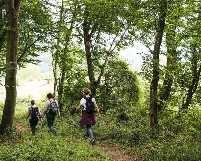 ESiest - Sarreguemines Tourisme La Blies Partagée
