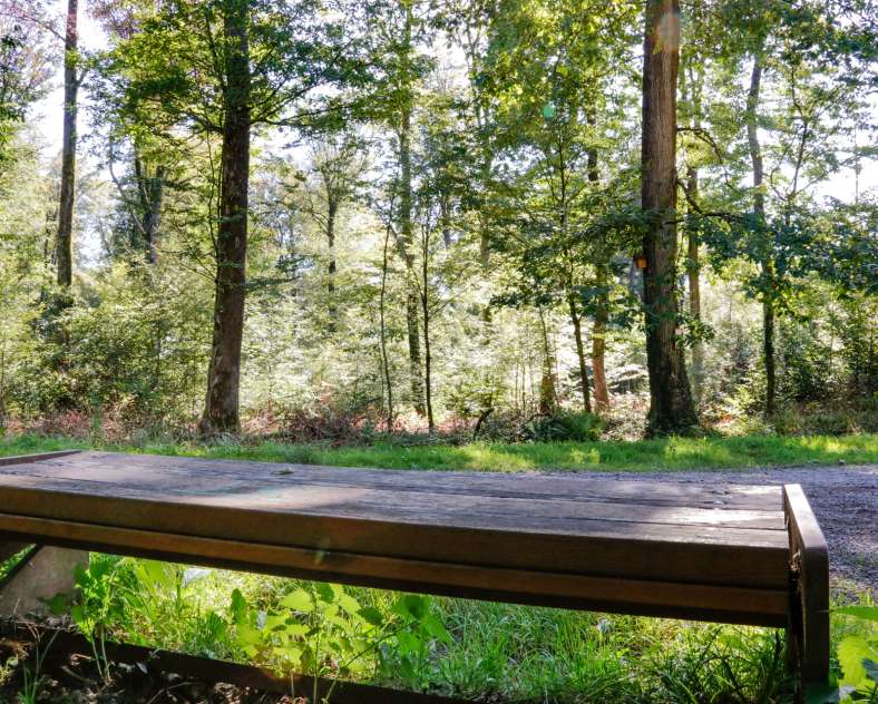 Cindy TURPIN - Sarreguemines Tourisme  Le Grosswald
