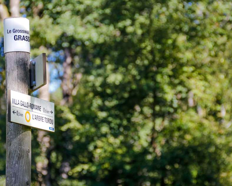 Cindy TURPIN - Sarreguemines Tourisme  La Villa