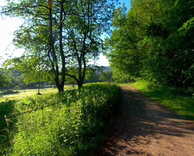 Emmanuel Stourm 2020
Licence Open Data La boutonnière du Warndt