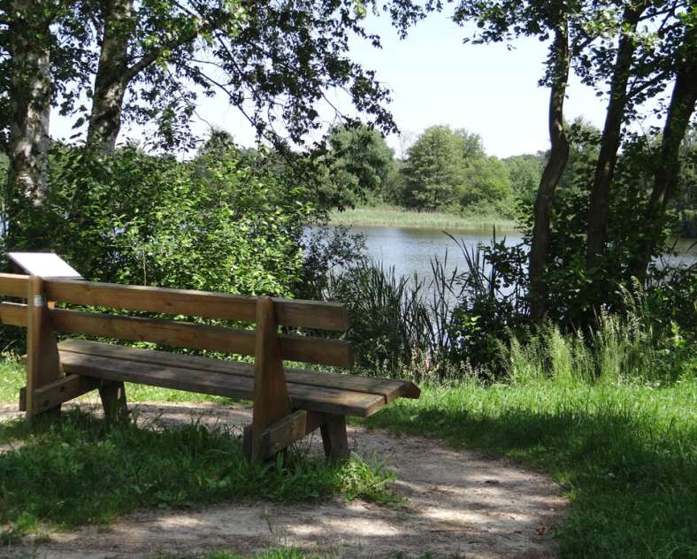 Daniel Bailly  Les marais du Warndt