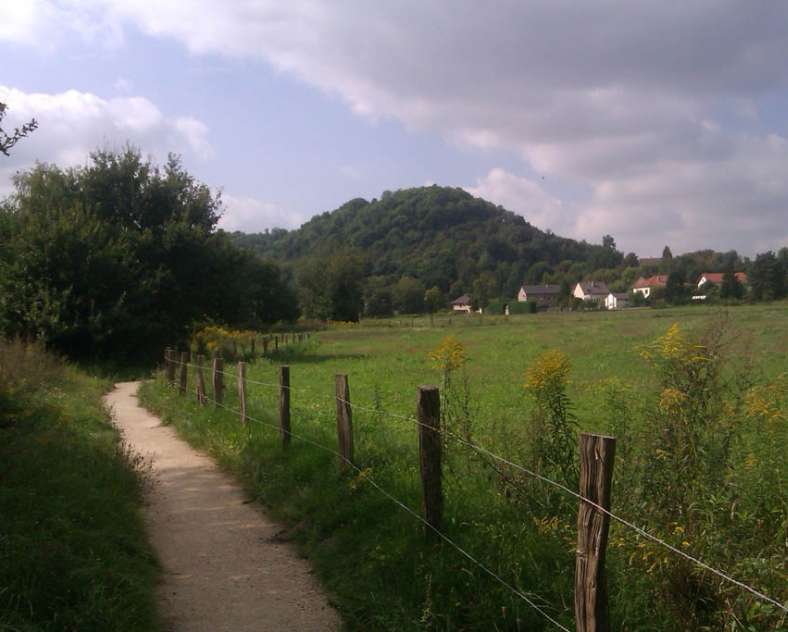 Daniel Bailly  Les marais du Warndt