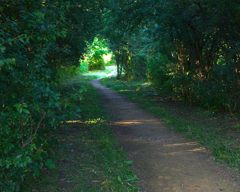 Emmanuel Stourm 2020
Licence Open Data  Les marais du Warndt