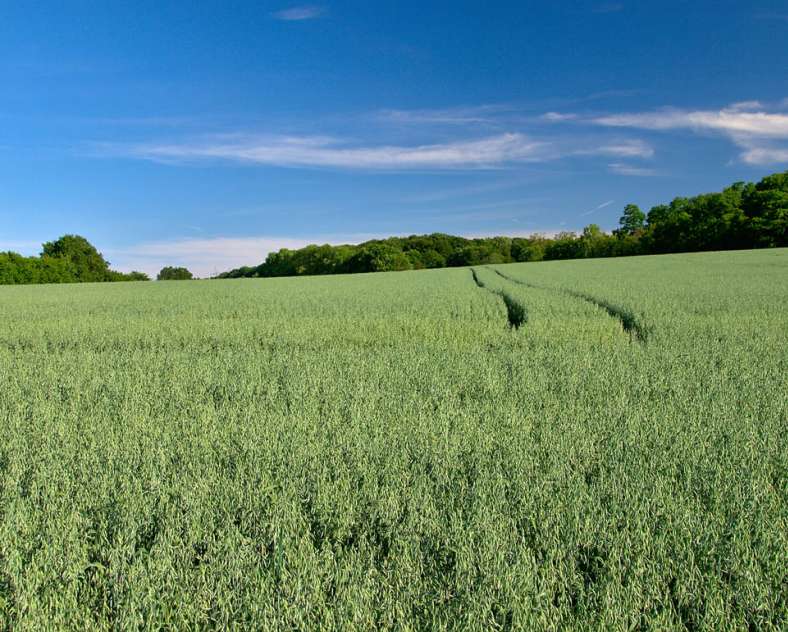 Emmanuel Stourm 2020
Licence Open Data  Circuit de l'ancien tramway
