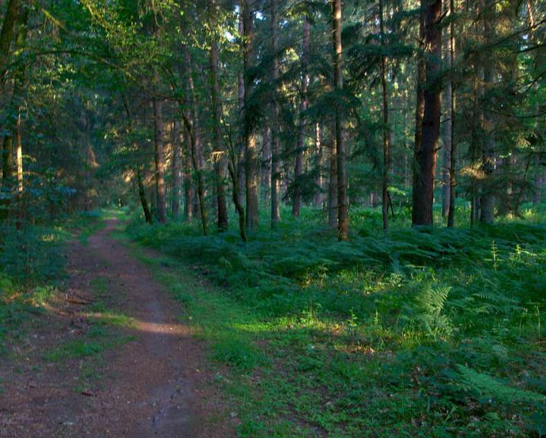 Emmanuel Stourm 2020
Licence Open Data Le chemin du mineur