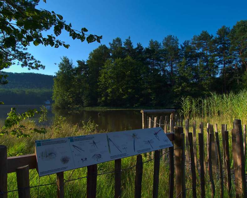 Emmanuel Stourm 2020
Licence Open Data  Sentinelles de grès