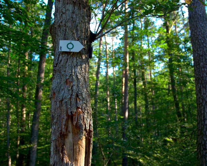 Emmanuel Stourm 2020
Licence Open Data  Sentinelles de grès