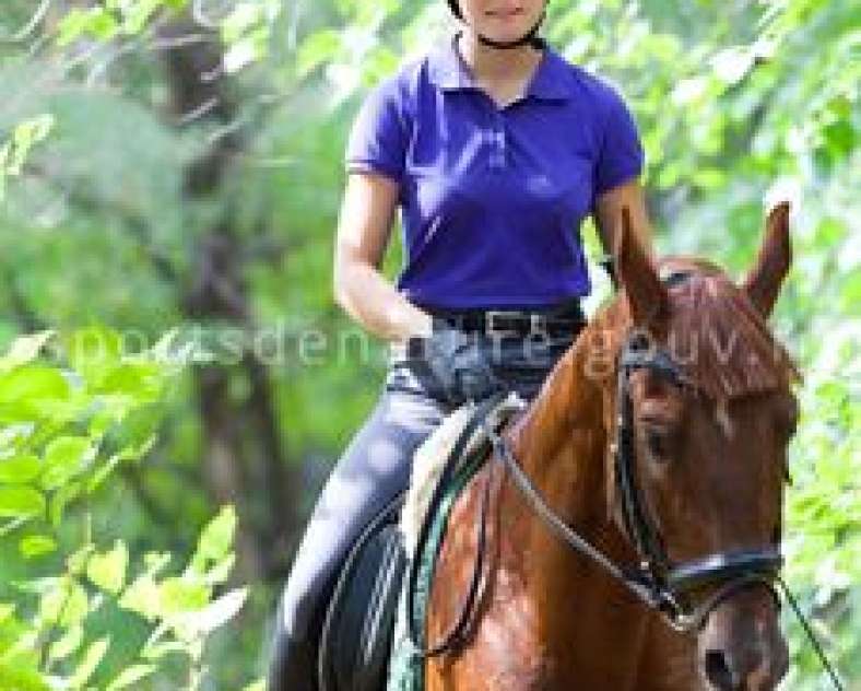 sport.gouv.fr Boucle des châteaux à cheval
