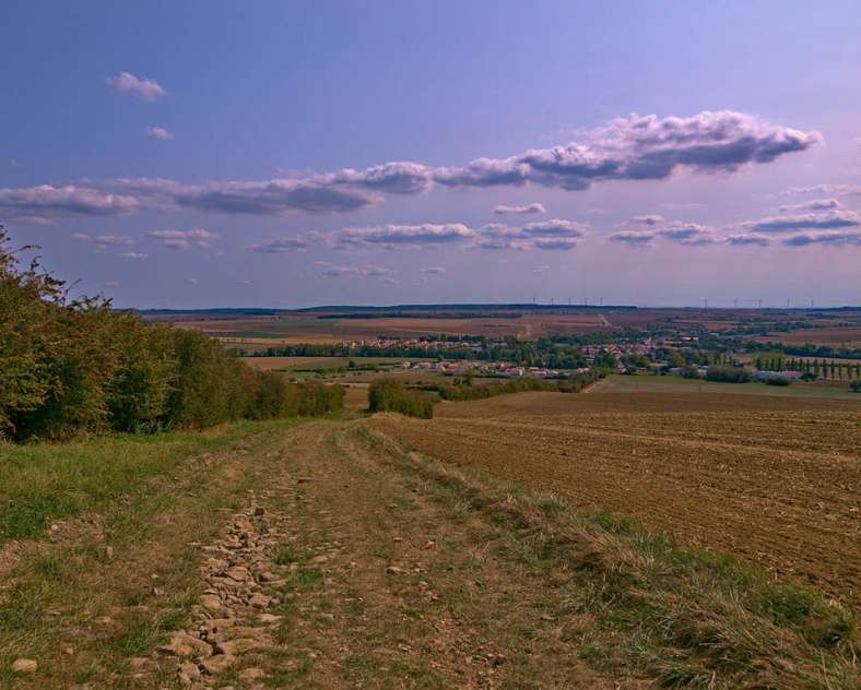 Emmanuel Stourm 2020
Licence Open Data Les pelouses calcaires