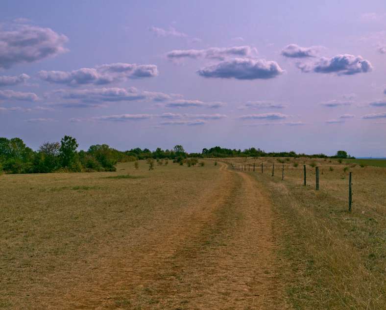 Emmanuel Stourm 2020
Licence Open Data Les pelouses calcaires