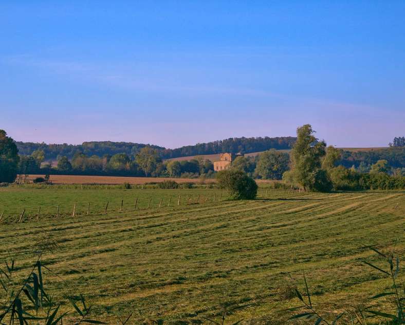 Emmanuel Stourm 2020
Licence Open Data  Sur les pas de la reine