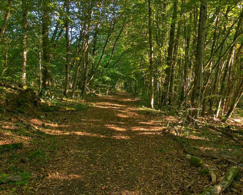 Emmanuel Stourm 2020
Licence Open Data  Sur les pas de la reine