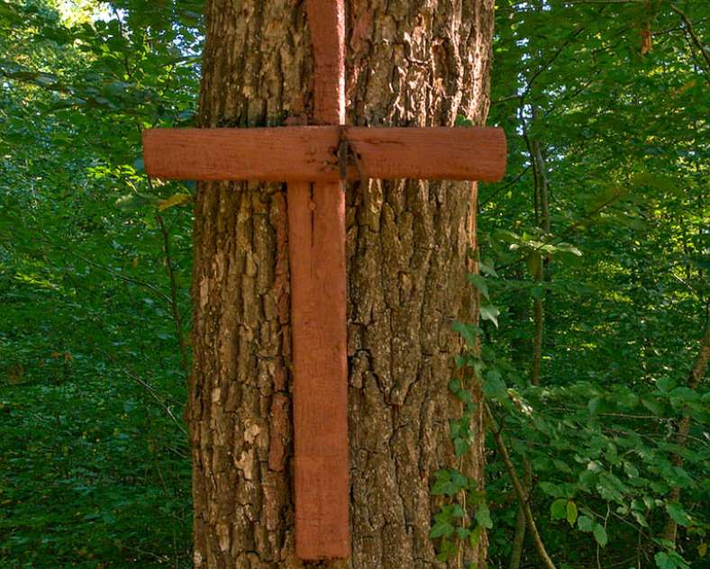 Emmanuel Stourm 2020
Licence Open Data  Sur les pas de la reine