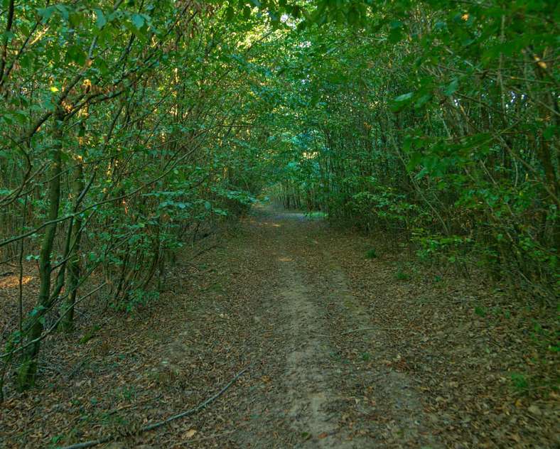 Emmanuel Stourm 2020
Licence Open Data Les coteaux d'Albestroff