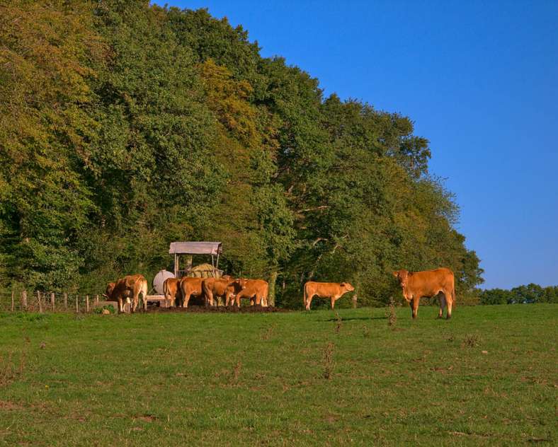 Emmanuel Stourm 2020
Licence Open Data Les coteaux d'Albestroff