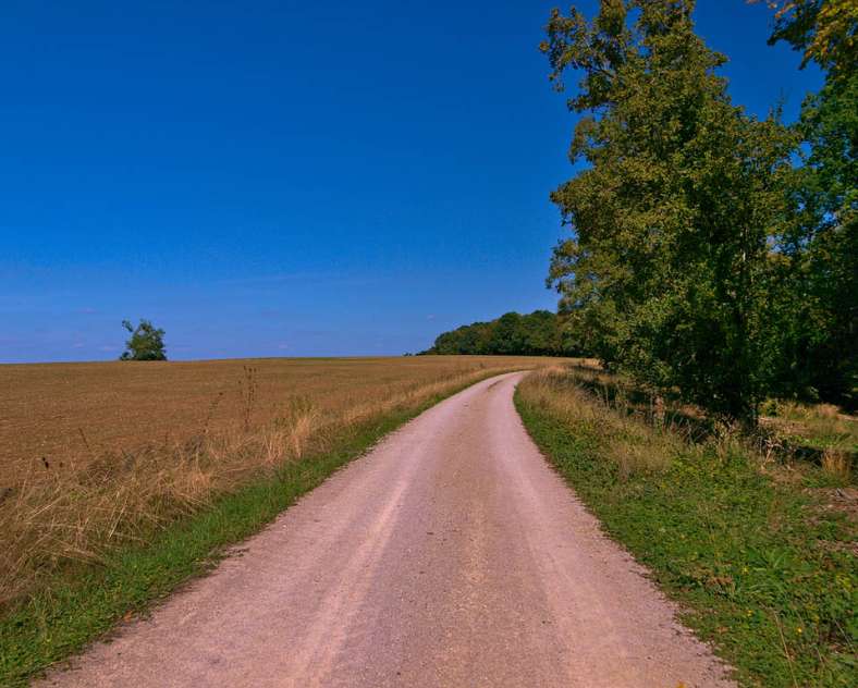 Emmanuel Stourm 2020
Licence Open Data À VTT et à cheval autour de Marsal