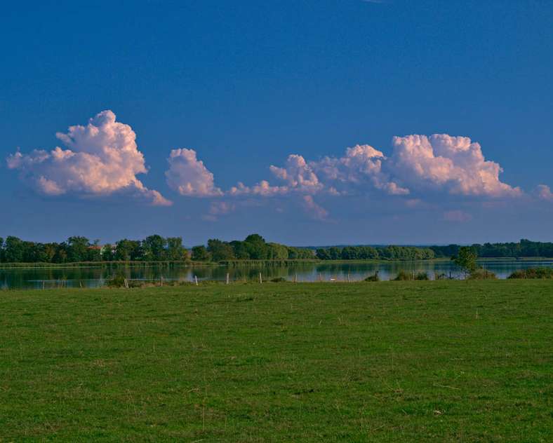 À VTT ET À CHEVAL AUTOUR DE DIEUZE