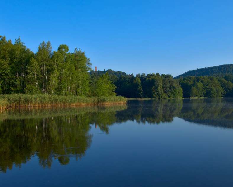 Emmanuel Stourm 2020
Licence Open Data Au grès de l'eau