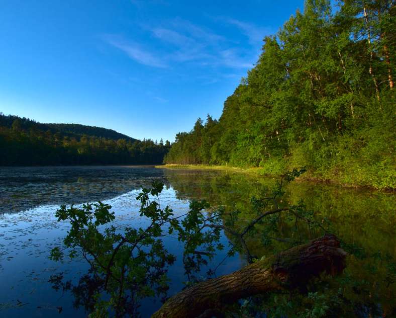 Emmanuel Stourm 2020
Licence Open Data Au grès de l'eau