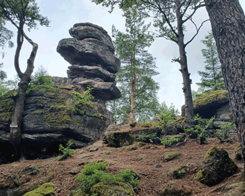 OTIPP Circuit du Sandplatz