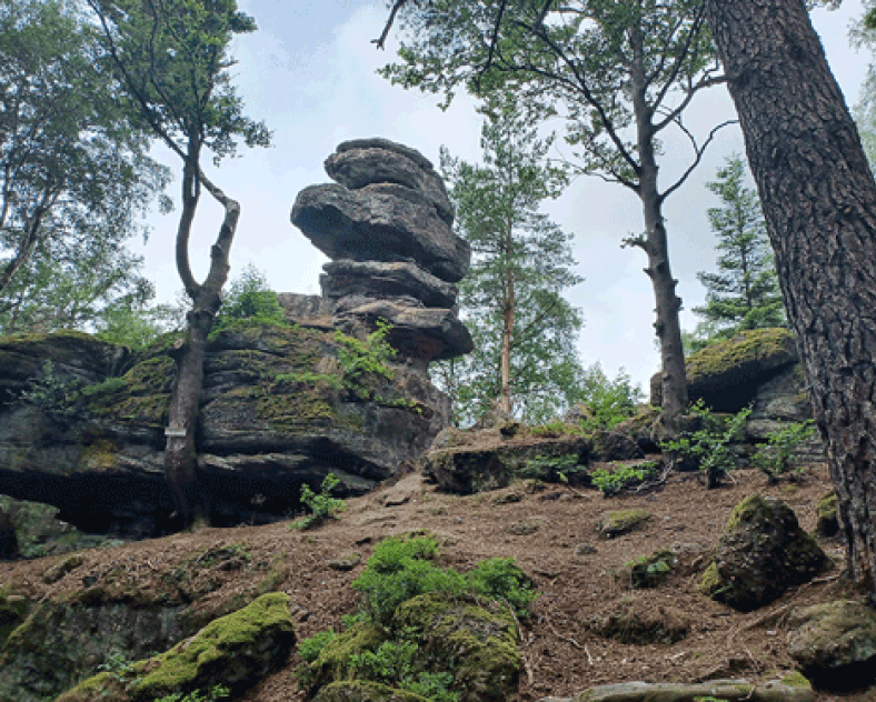 OTIPP Circuit du Sandplatz