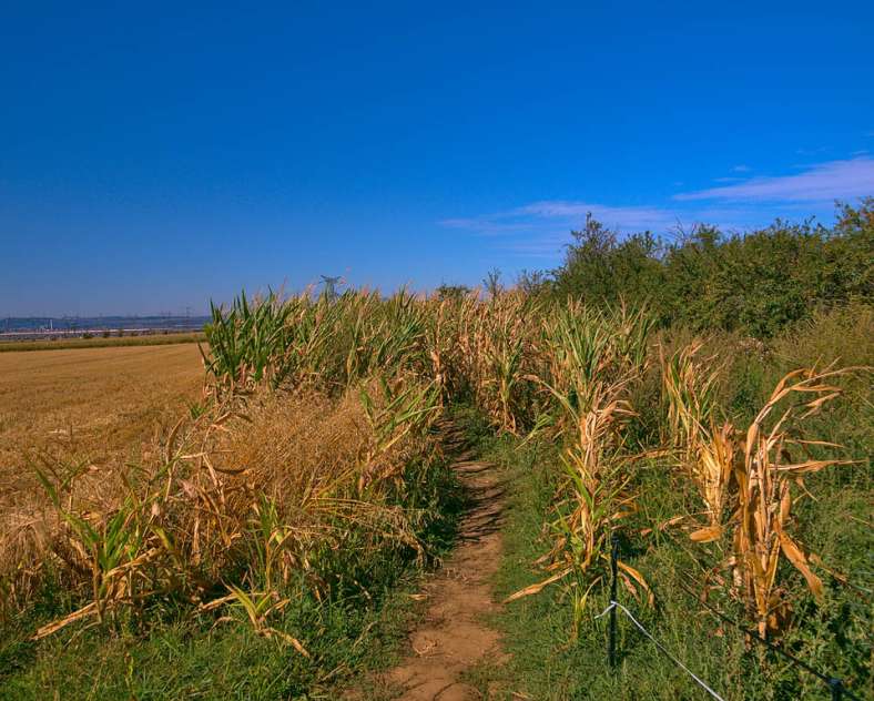 LE CHEMIN DE LA REINE EN VTT