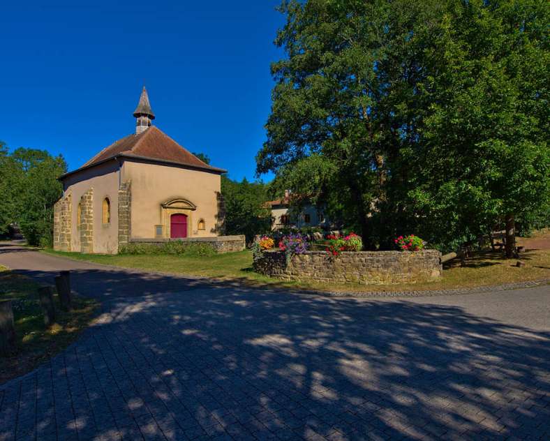 Emmanuel Stourm 2020
Licence Open Data  Le chêne des moines en VTT