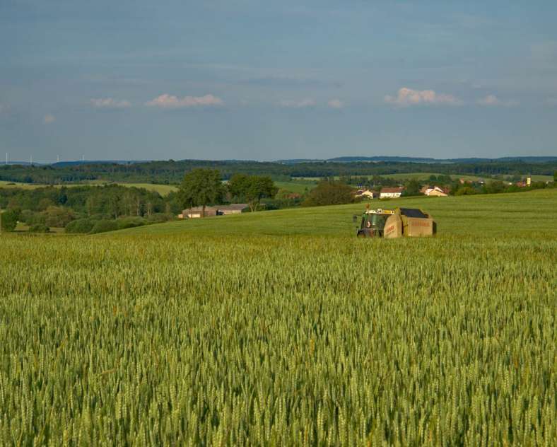 Emmanuel Stourm 2021 
Licence OpenData  Les quatre seigneurs