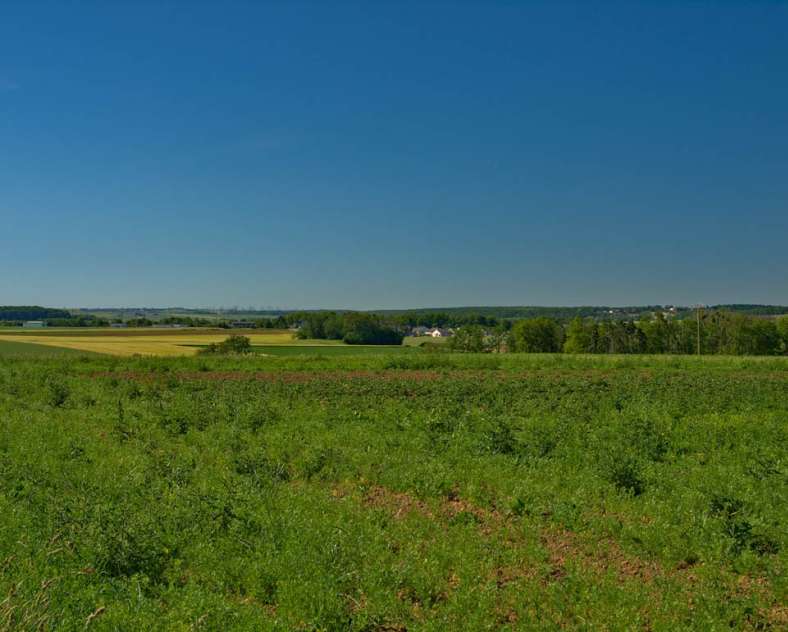 Emmanuel Stourm 2021 Le plateau des gryphées