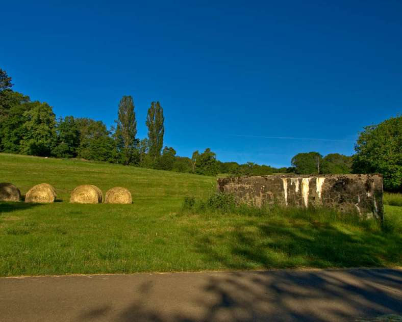 Emmanuel Stourm 2021 Le plateau des gryphées