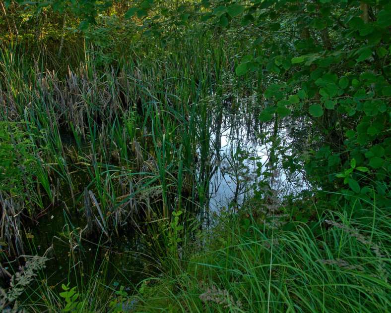 Emmanuel Stourm 2021 Autour des mardelles