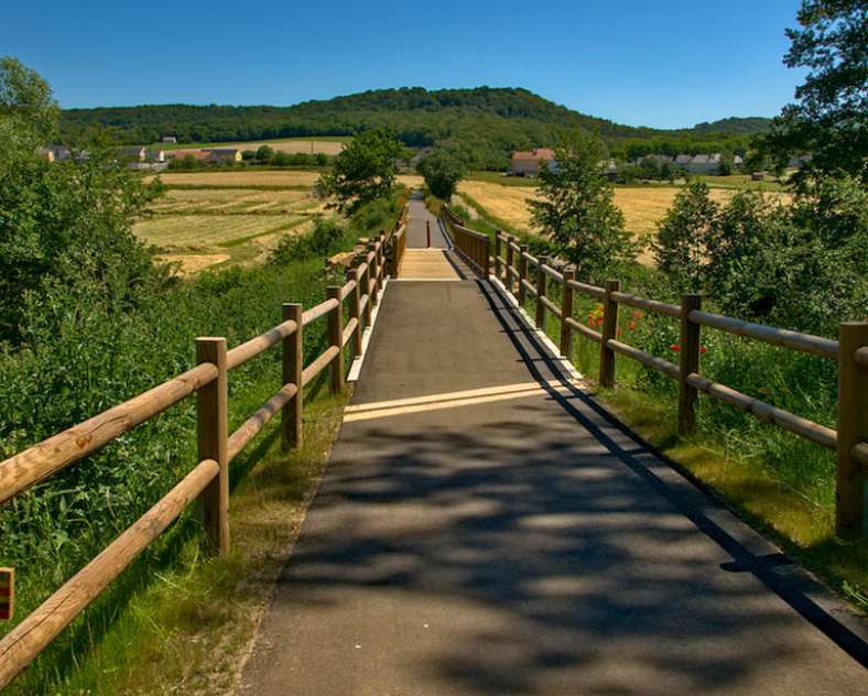 Emmanuel Stourm 2021 Entre Bibiche et Canner