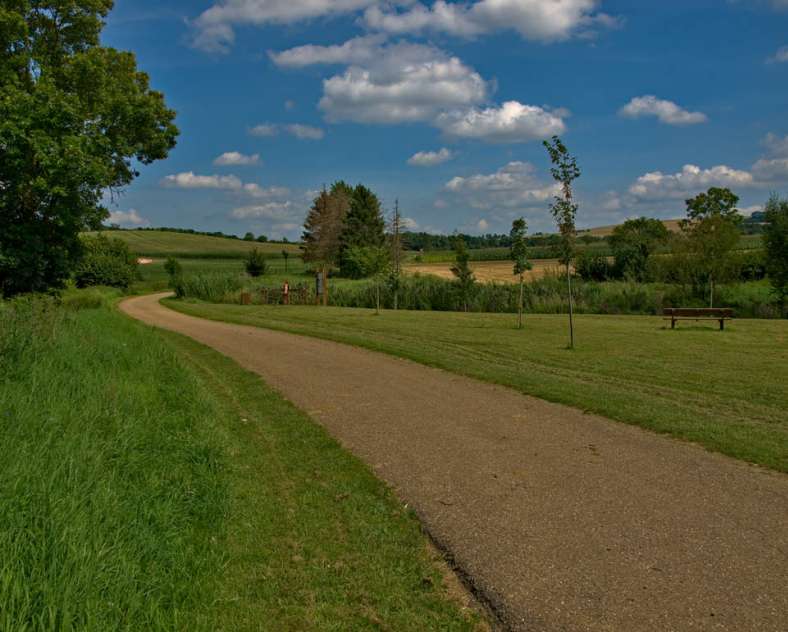 Emmanuel Stourm 2021 Boucle du bois de Chaumont