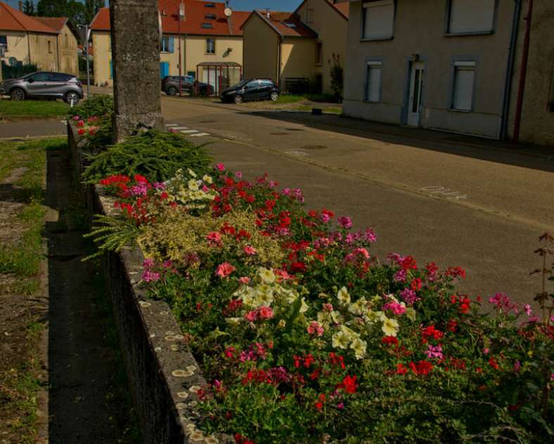Emmanuel Stourm 2021 Le chêne à la vierge