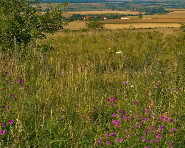 Emmanuel Stourm 2021  Les sources de l'Elme