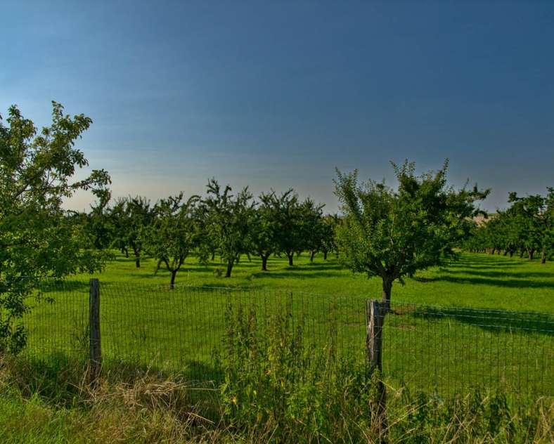 Emmanuel Stourm 2021 Autour du Bérupt