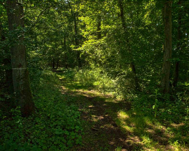 Emmanuel Stourm 2021 Autour du Bérupt