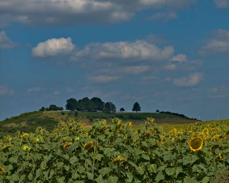 Emmanuel Stourm 2021 Le chemin du feugnot