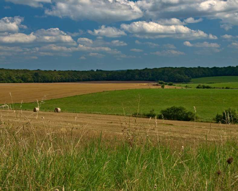 Emmanuel Stourm 2021 Le chemin du feugnot