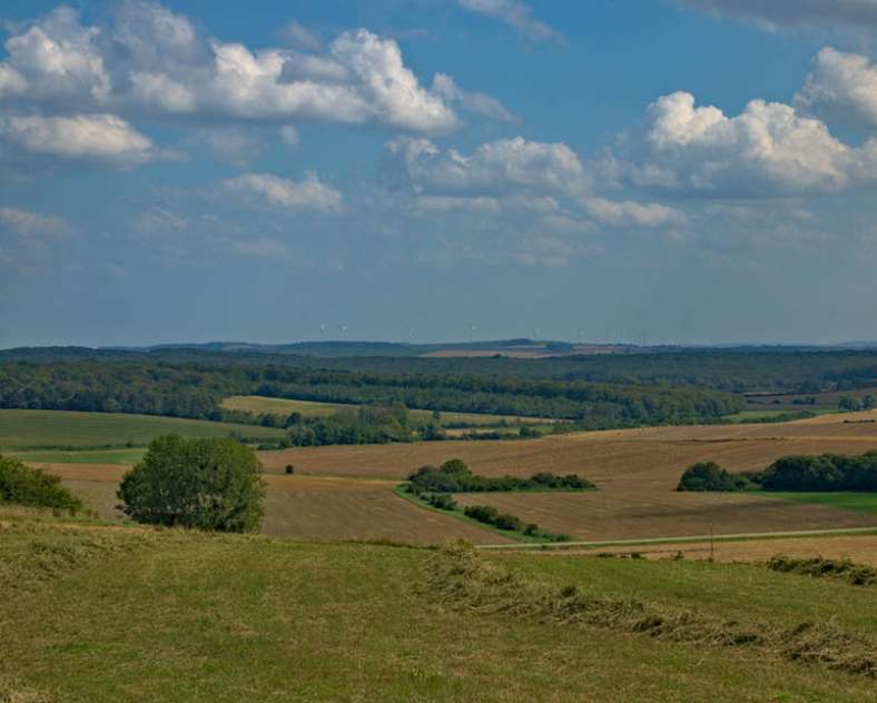 Emmanuel Stourm 2021 Le chemin du feugnot