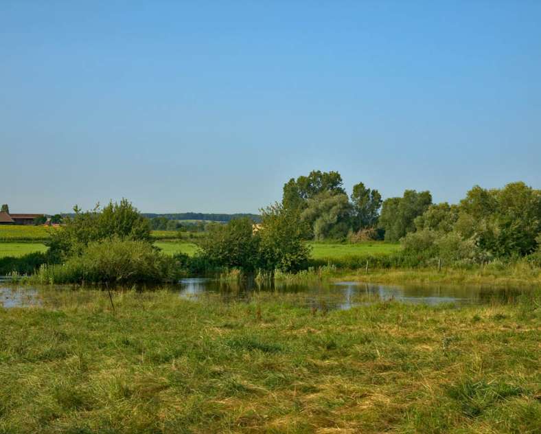 Emmanuel Stourm 2021 Via aggripa