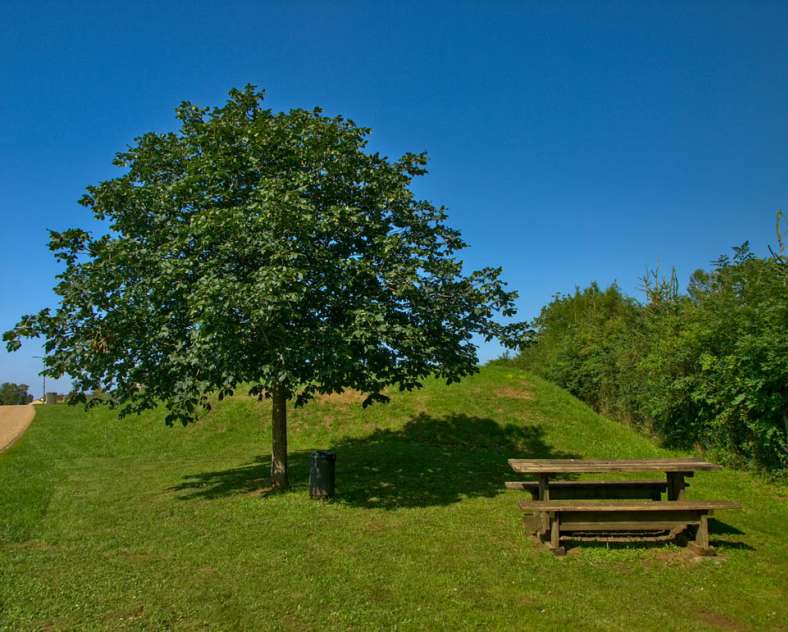 Emmanuel Stourm 2021 Autour du haut des mays