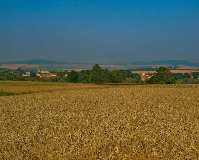 Emmanuel Stourm 2021 Autour du haut des mays