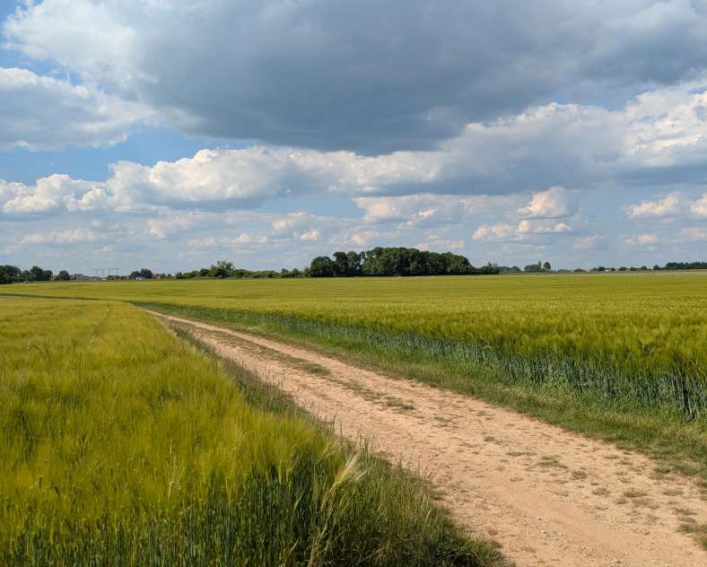 Communauté de Communes du Haut Chemin Pays de Pange Circuit à travers champs