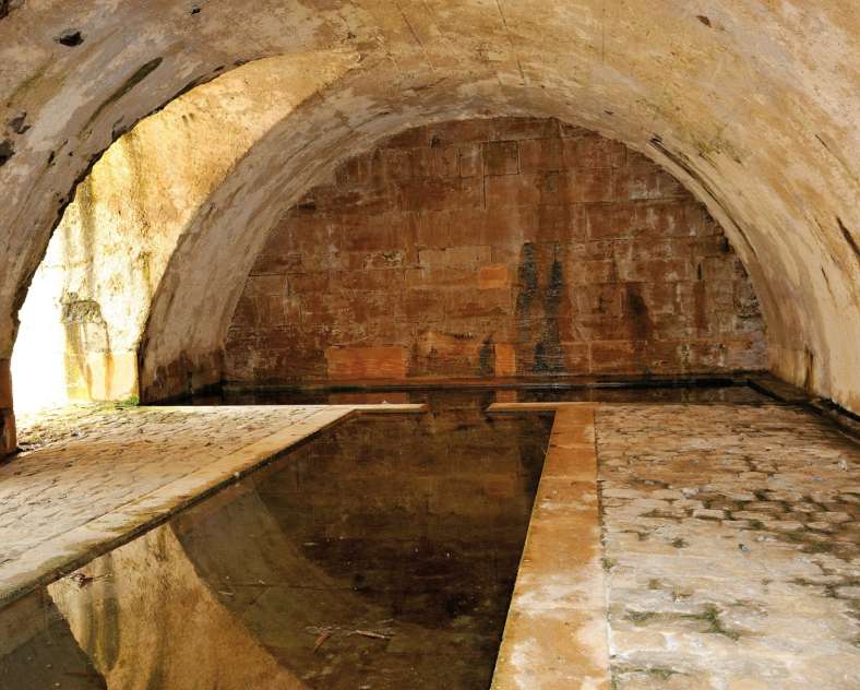 Dominique Steinmetz - Ville de Thionville  Boucle du lavoir de Bure