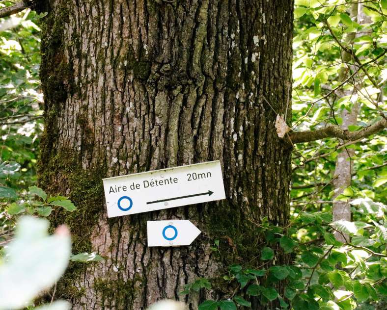 CTurpin_SarregueminesTourisme  Au pied des Éoliennes