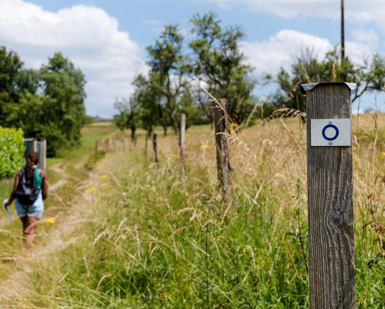 CTurpin_SarregueminesTourisme  Au pied des Éoliennes