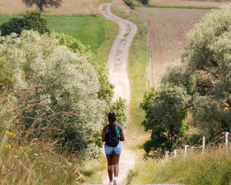 CTurpin_SarregueminesTourisme  La Chaussée de Bombelles