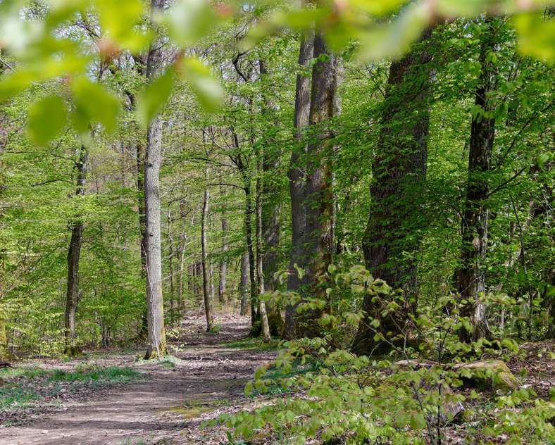 CTurpin_SarregueminesTourisme  Au fil des Époques